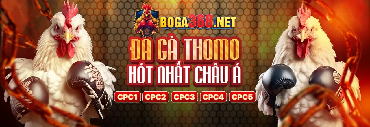 Đa dạng trò chơi cá cược tại 33bet Casino